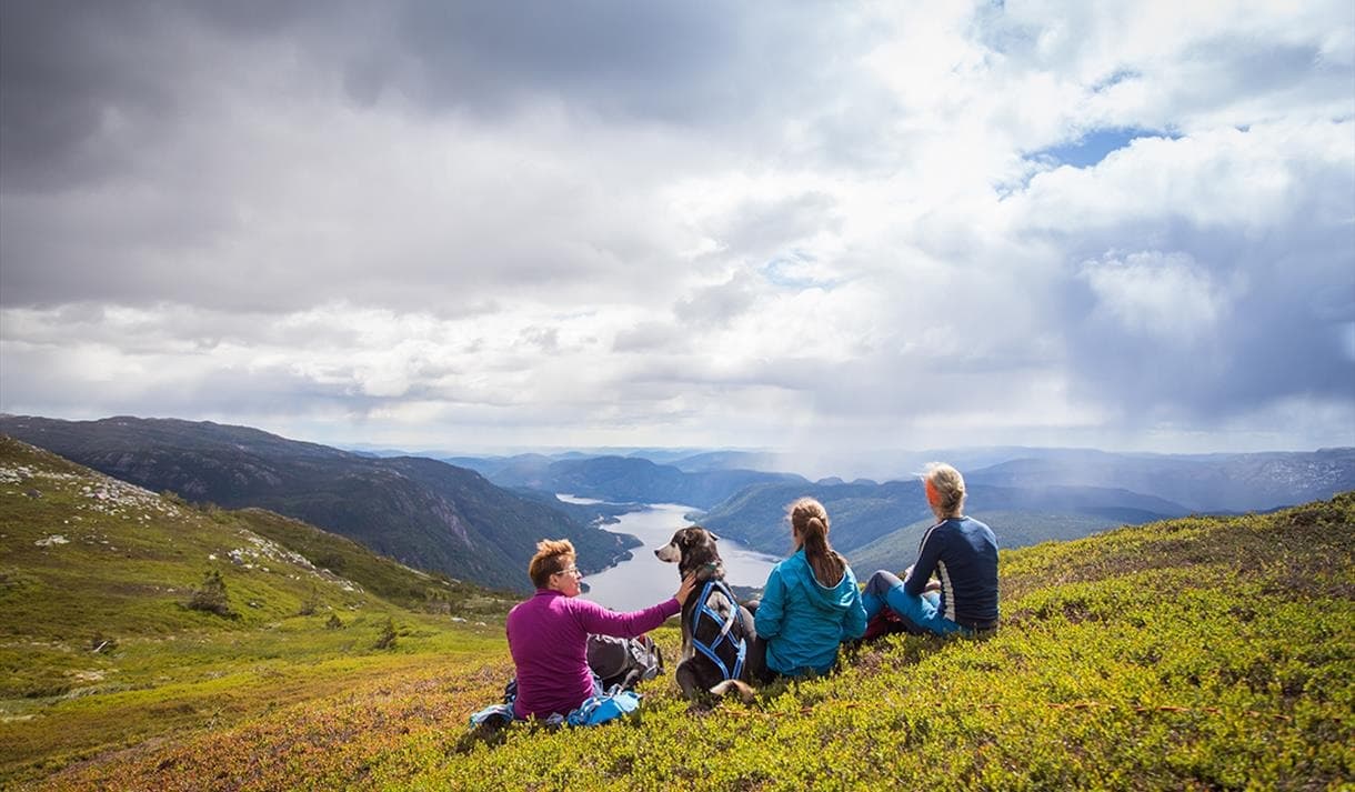 Se etter turer med: 