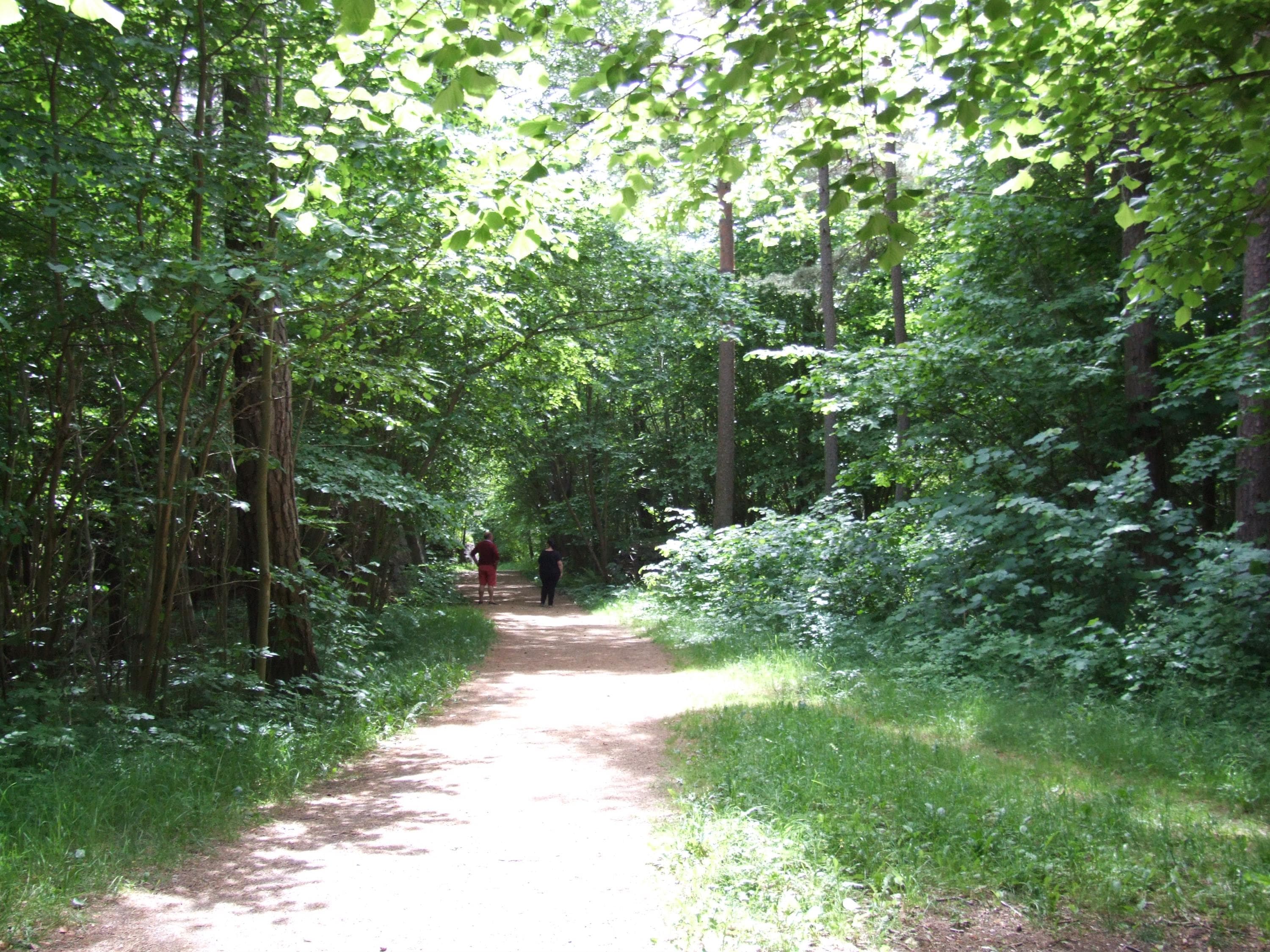 Hovedbilde