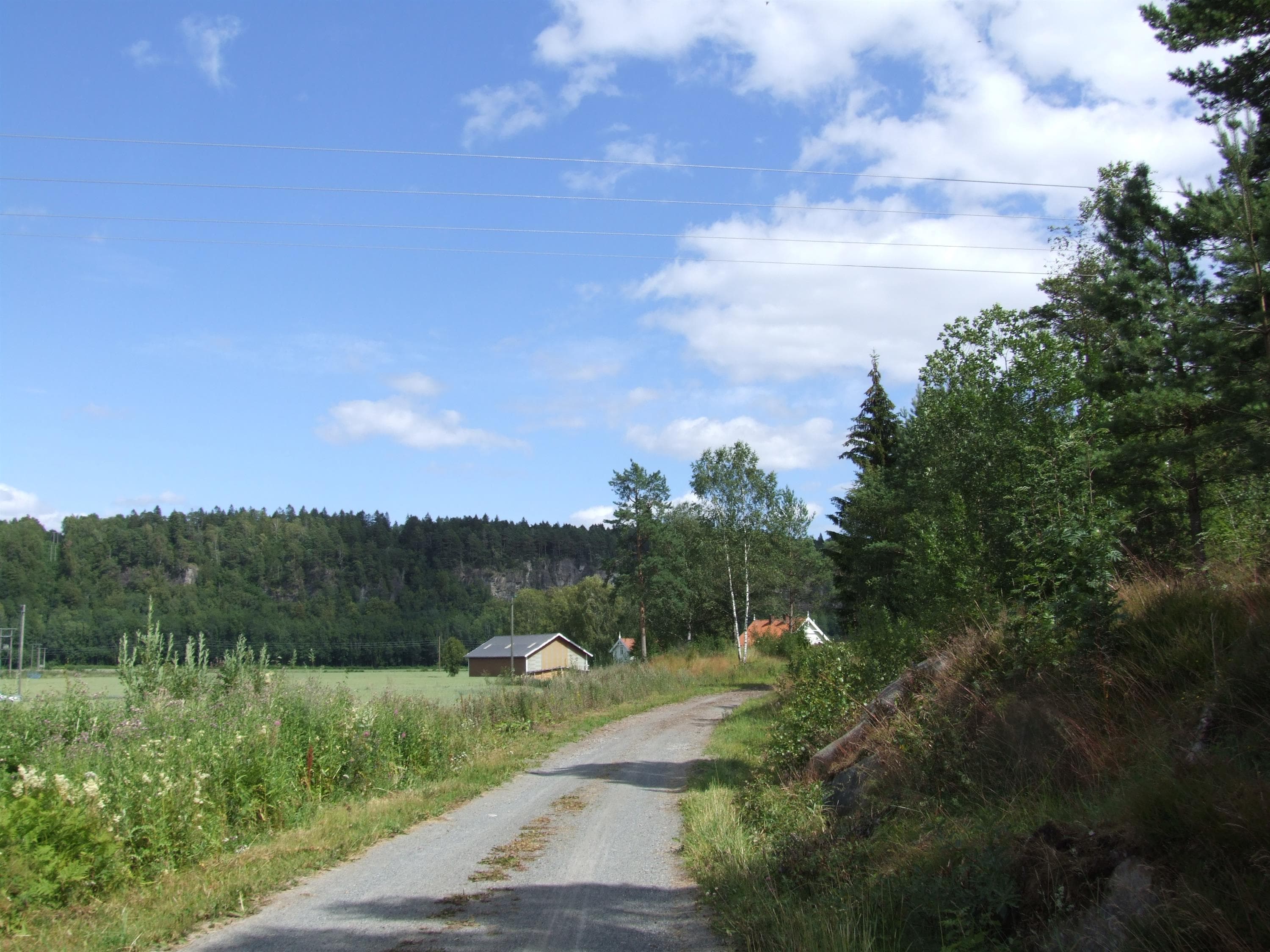 Hovedbilde