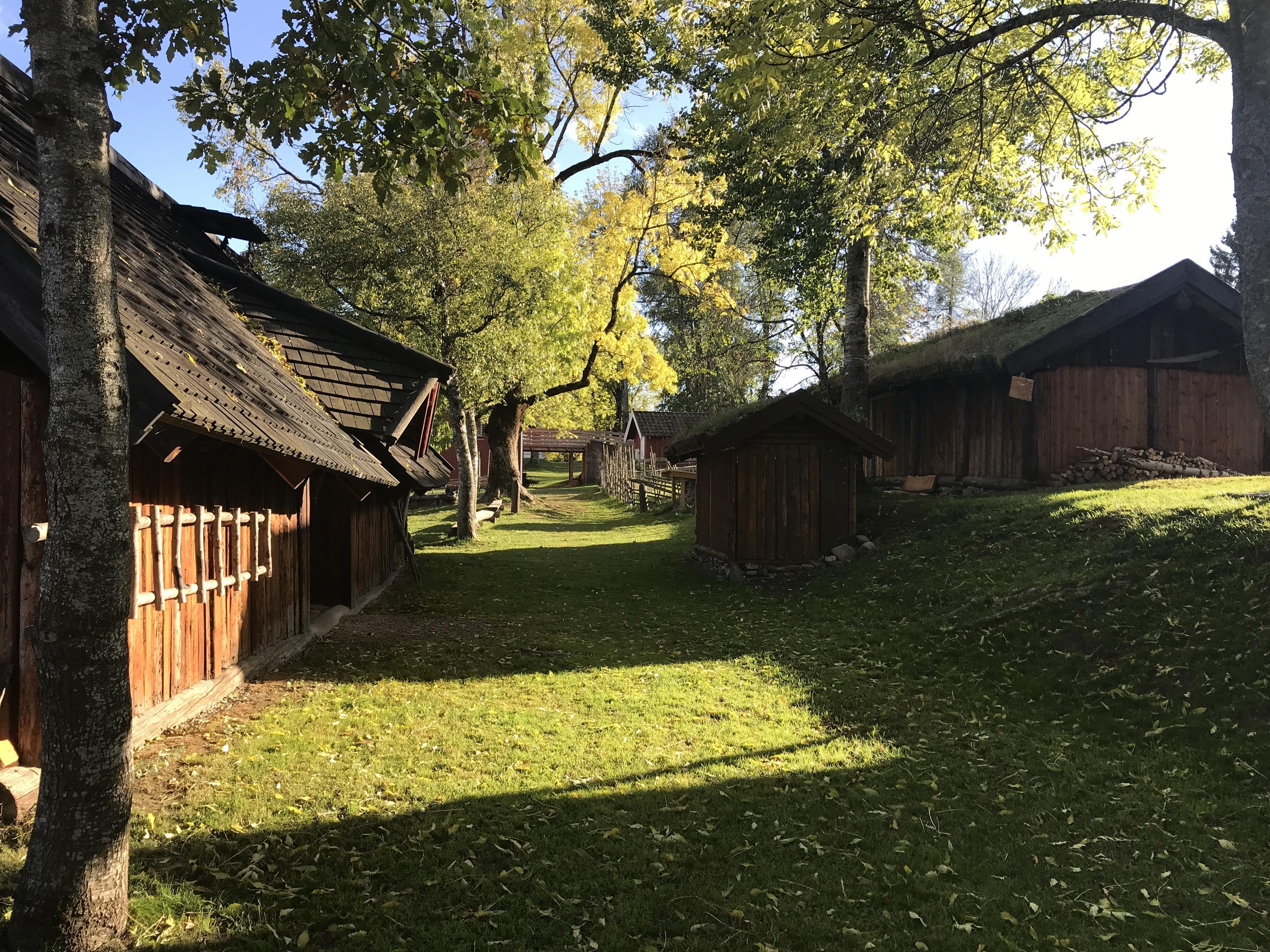 Hovedbilde