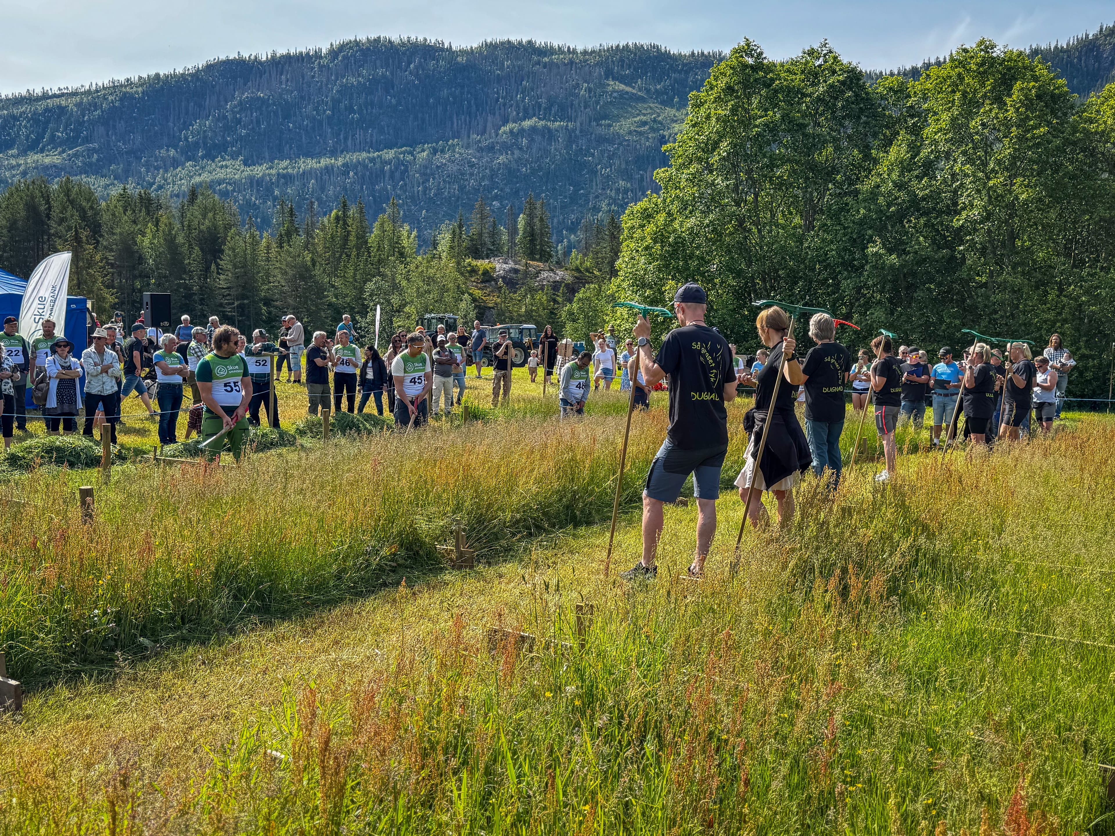 Slåttefestivalen i Hjartdal