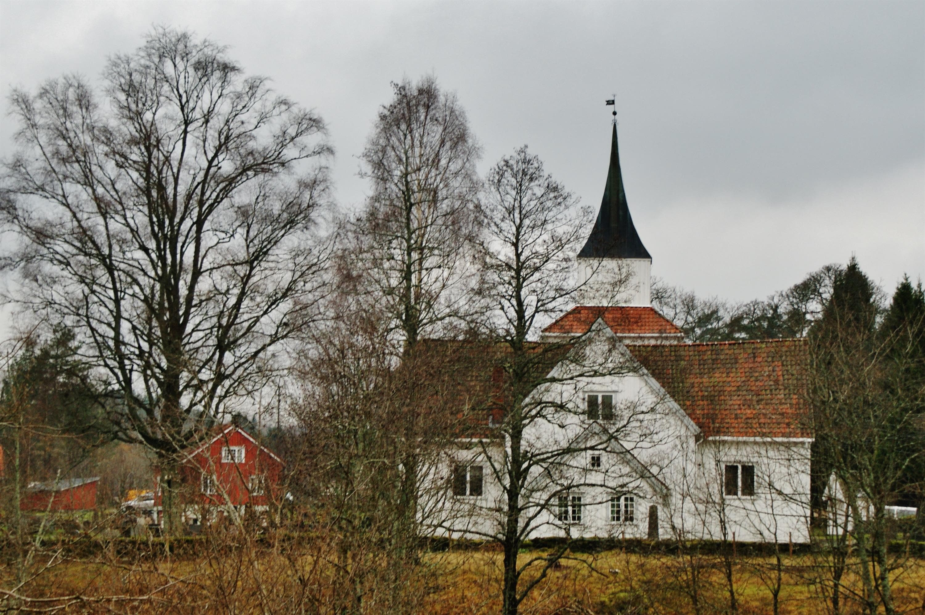 Hovedbilde