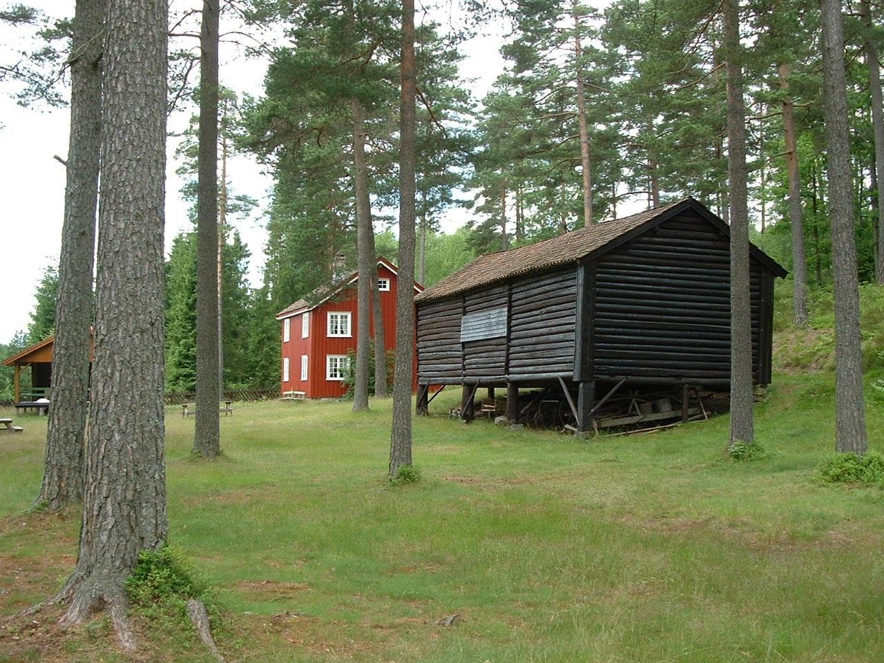Hovedbilde