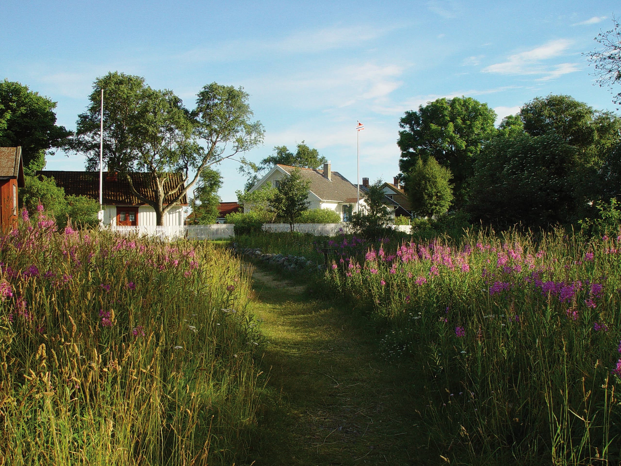 Hovedbilde
