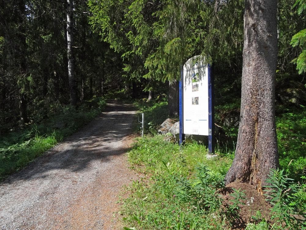Hovedbilde
