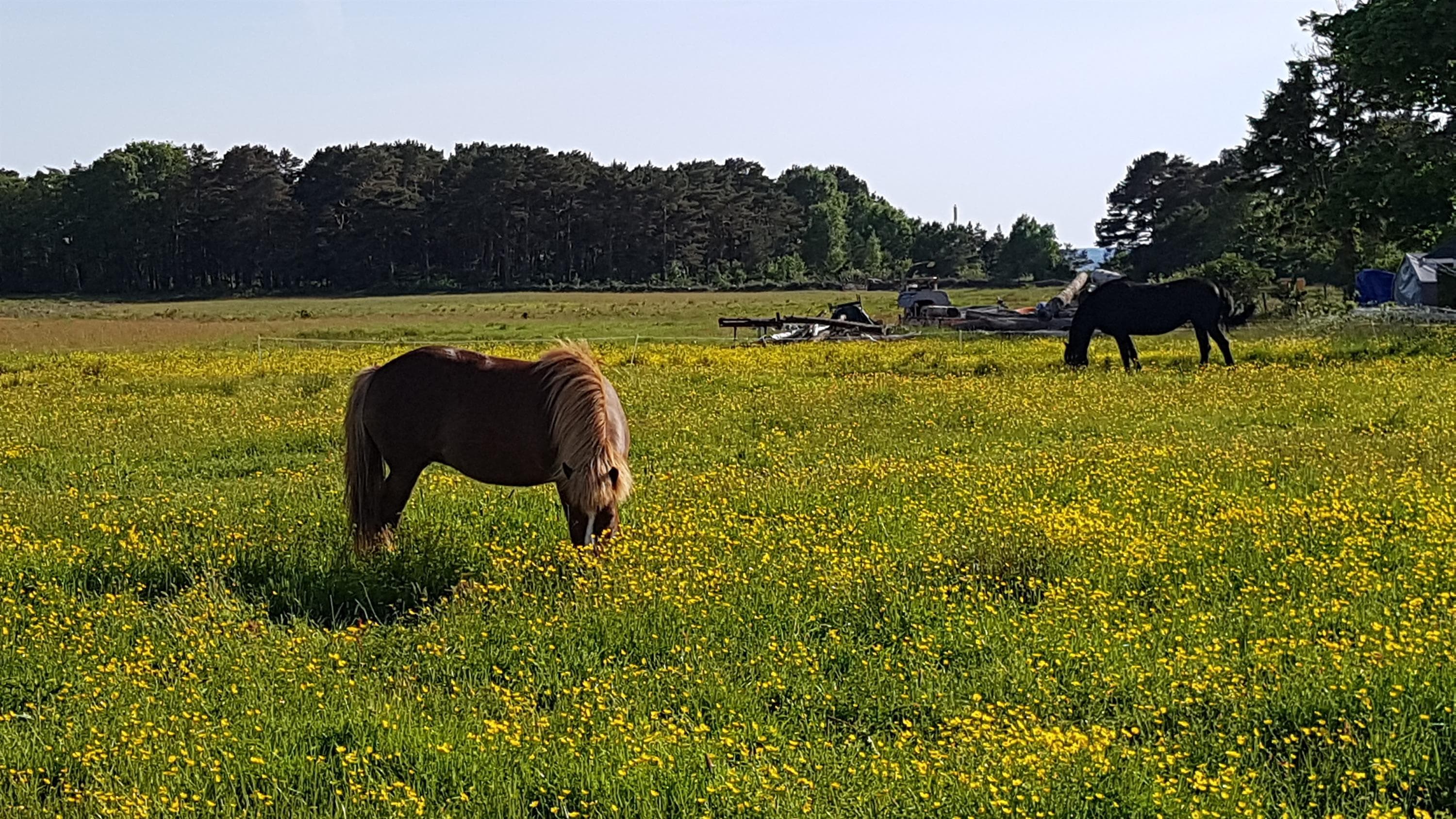 Hovedbilde