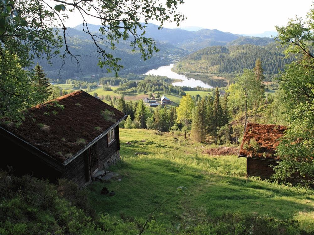 Hovedbilde