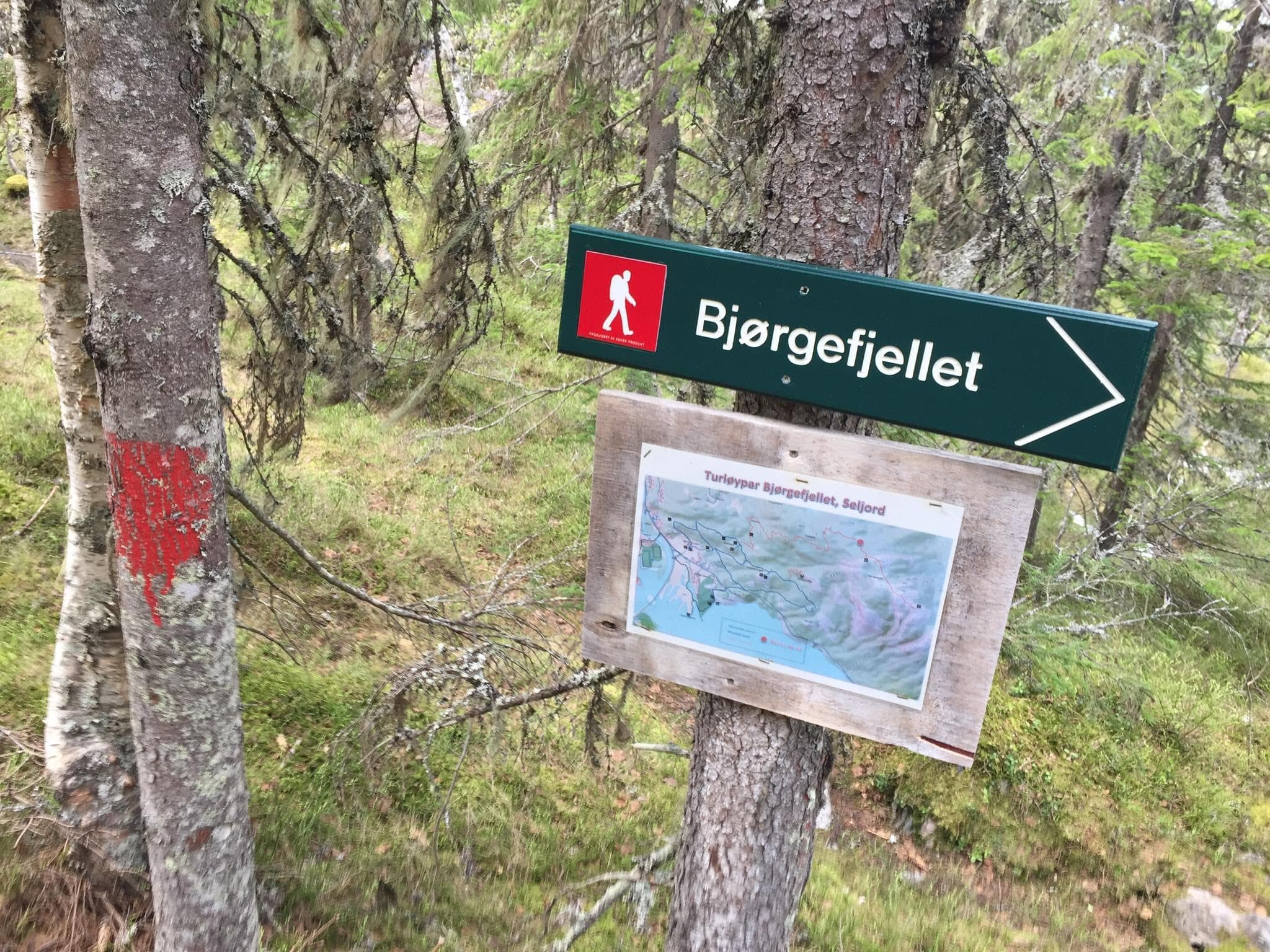 Hovedbilde