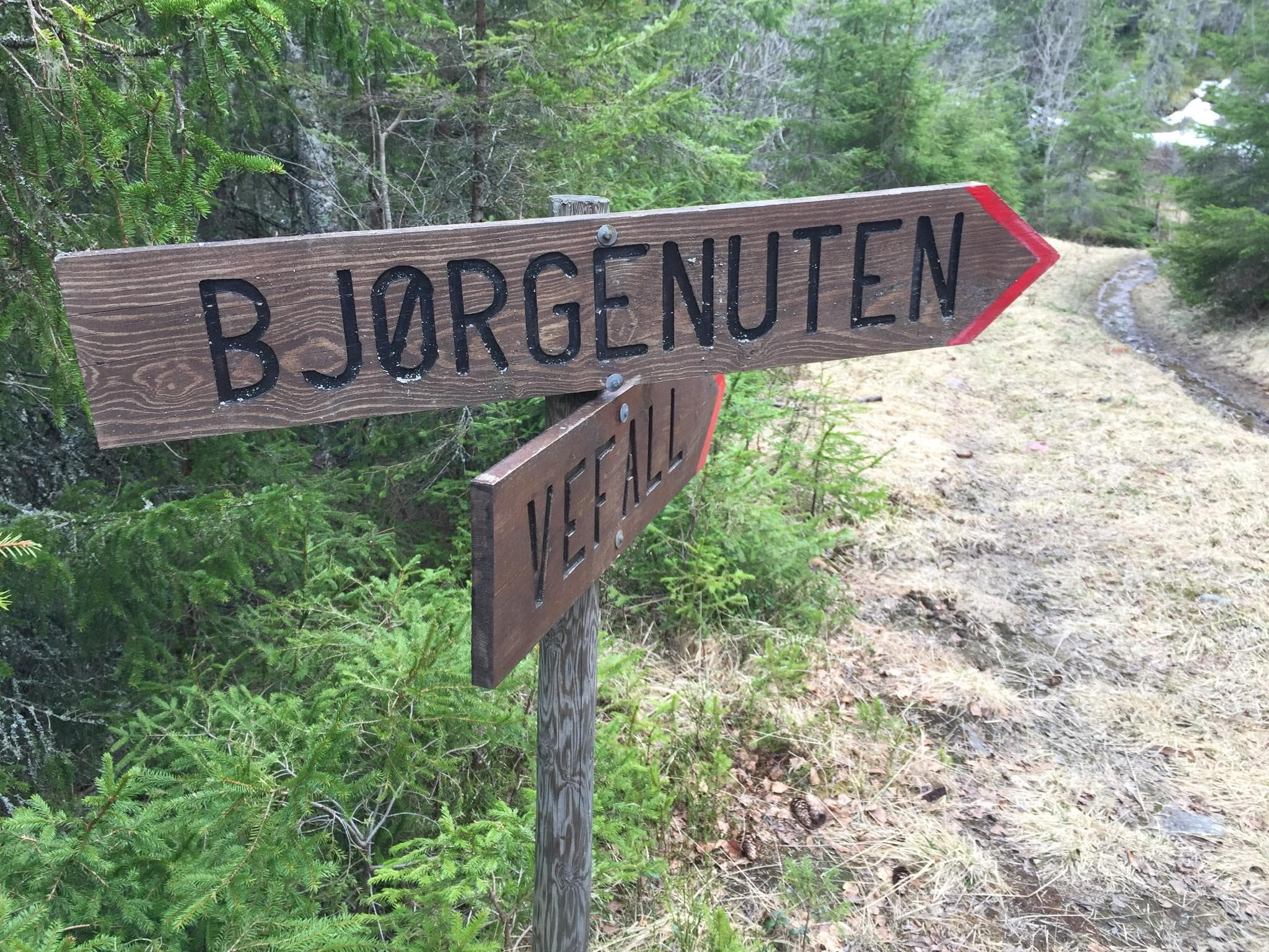 Hovedbilde