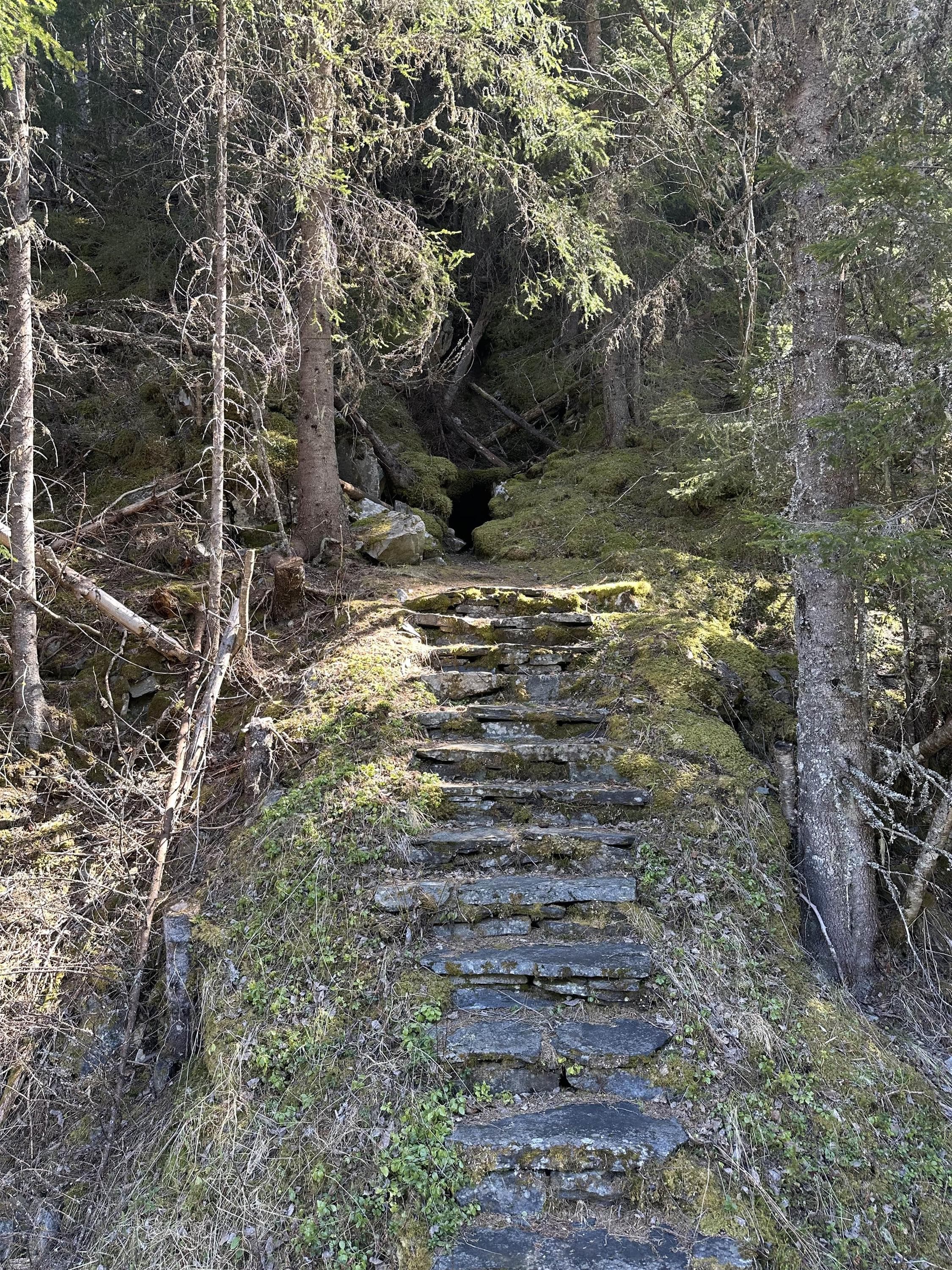 Hovedbilde