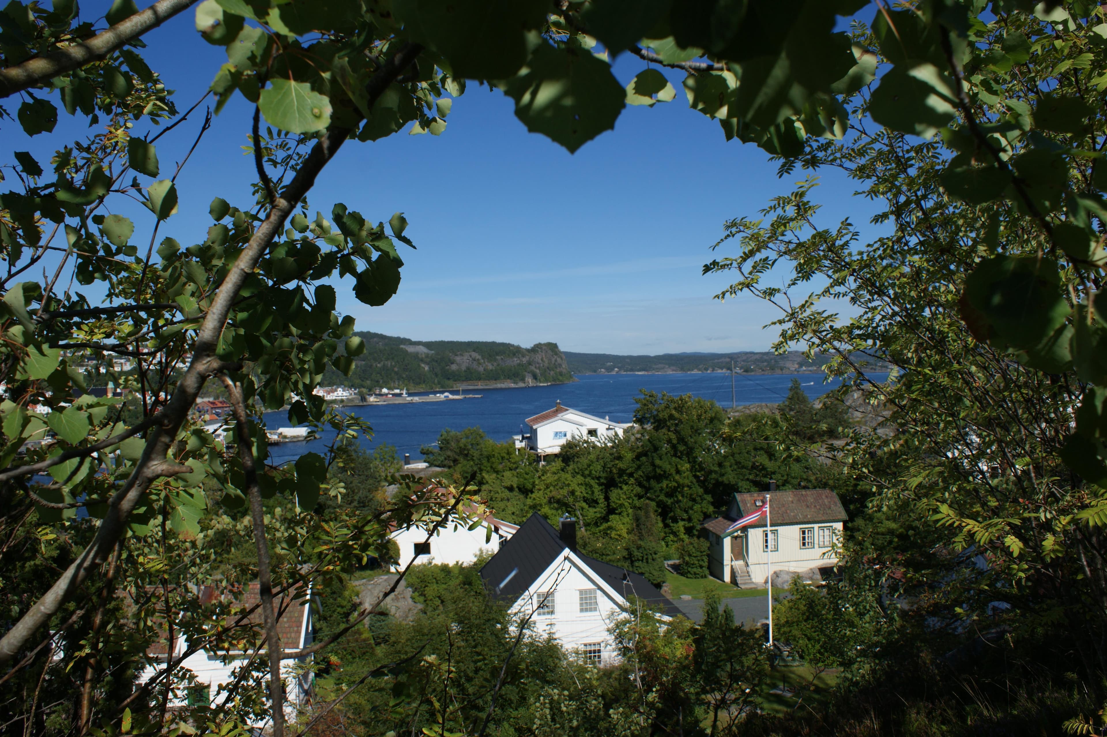 Hovedbilde