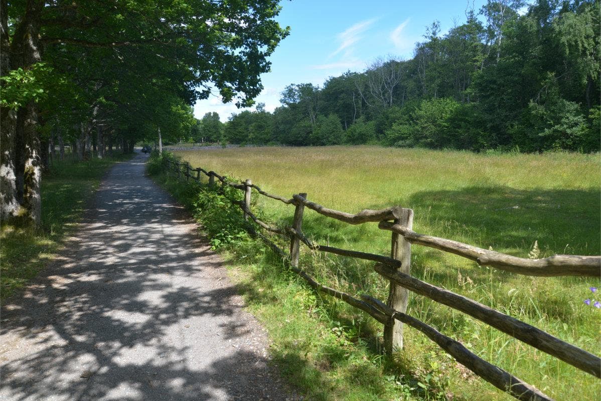 Hovedbilde