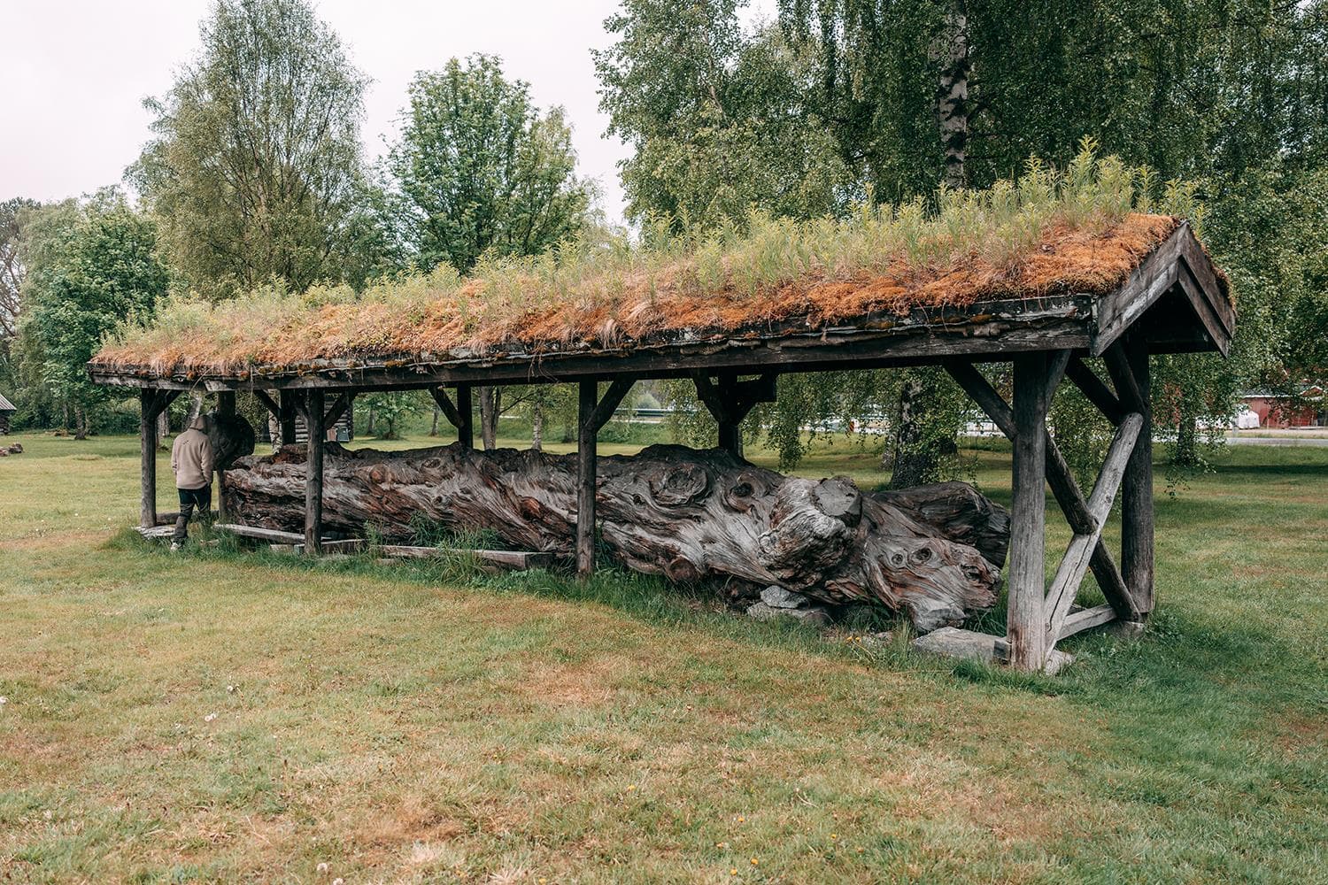 Hovedbilde