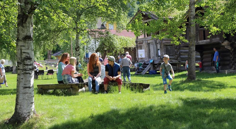 Hovedbilde