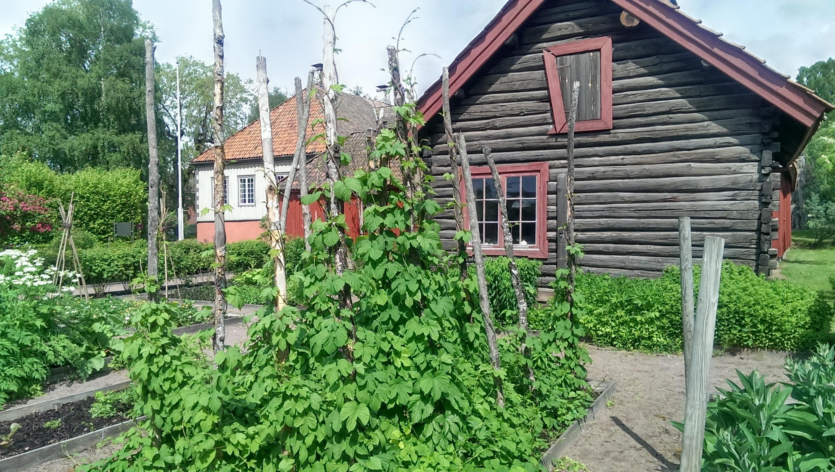 Hovedbilde