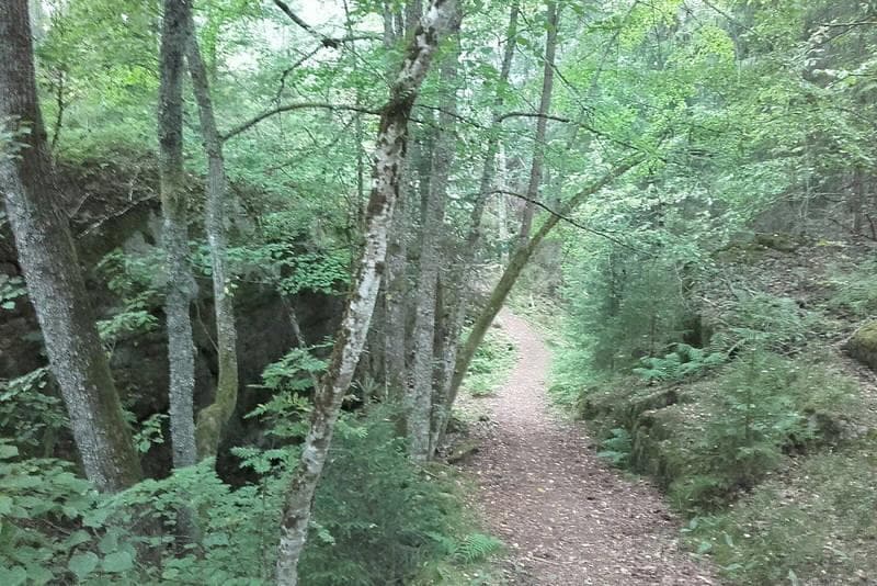 Hovedbilde