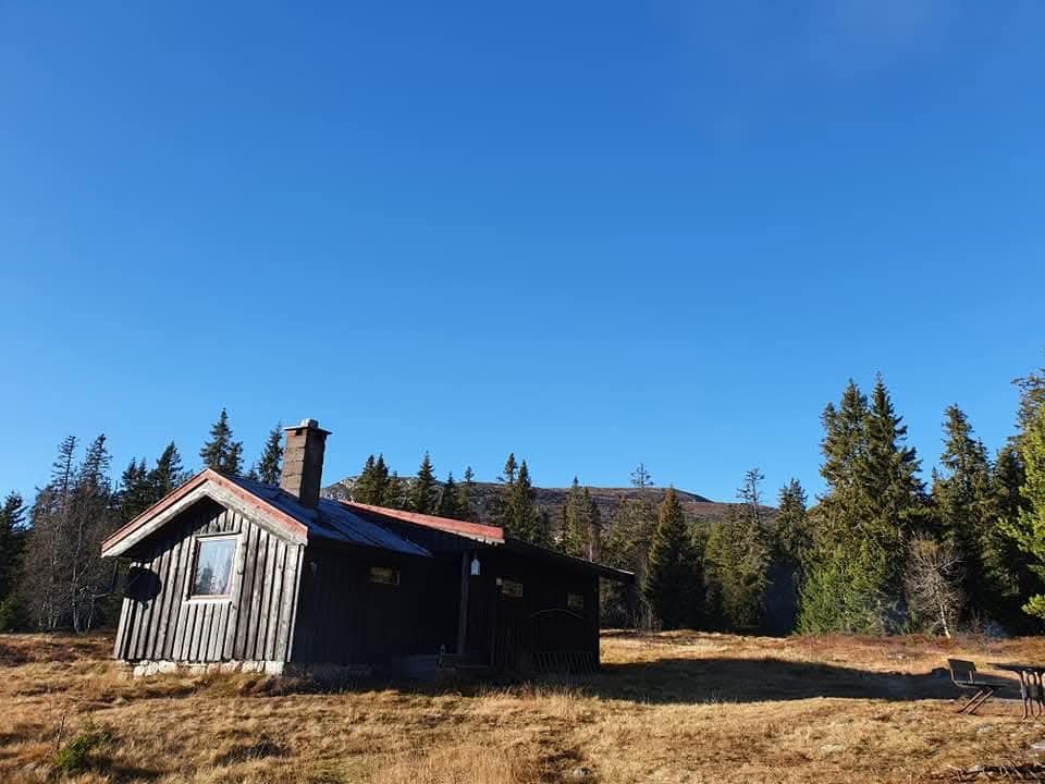 Hovedbilde