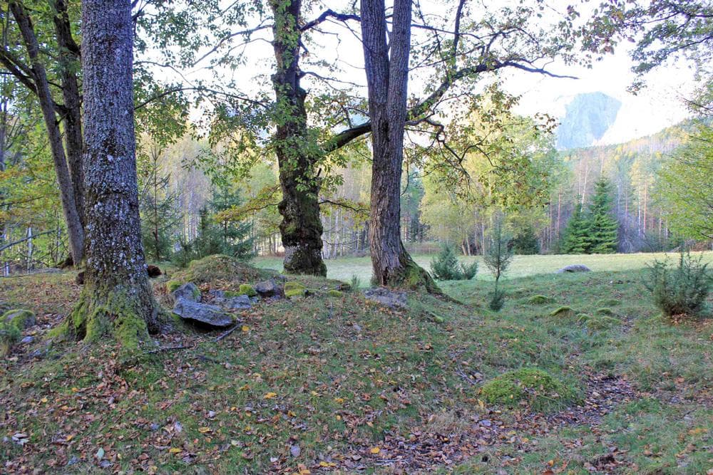 Hovedbilde