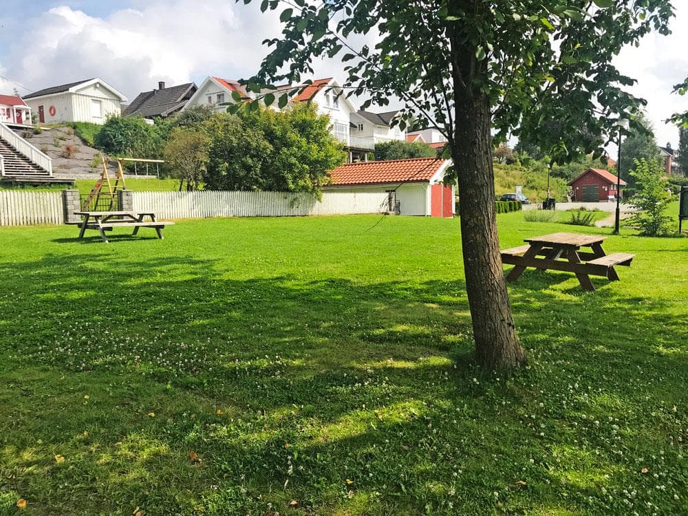 Hovedbilde