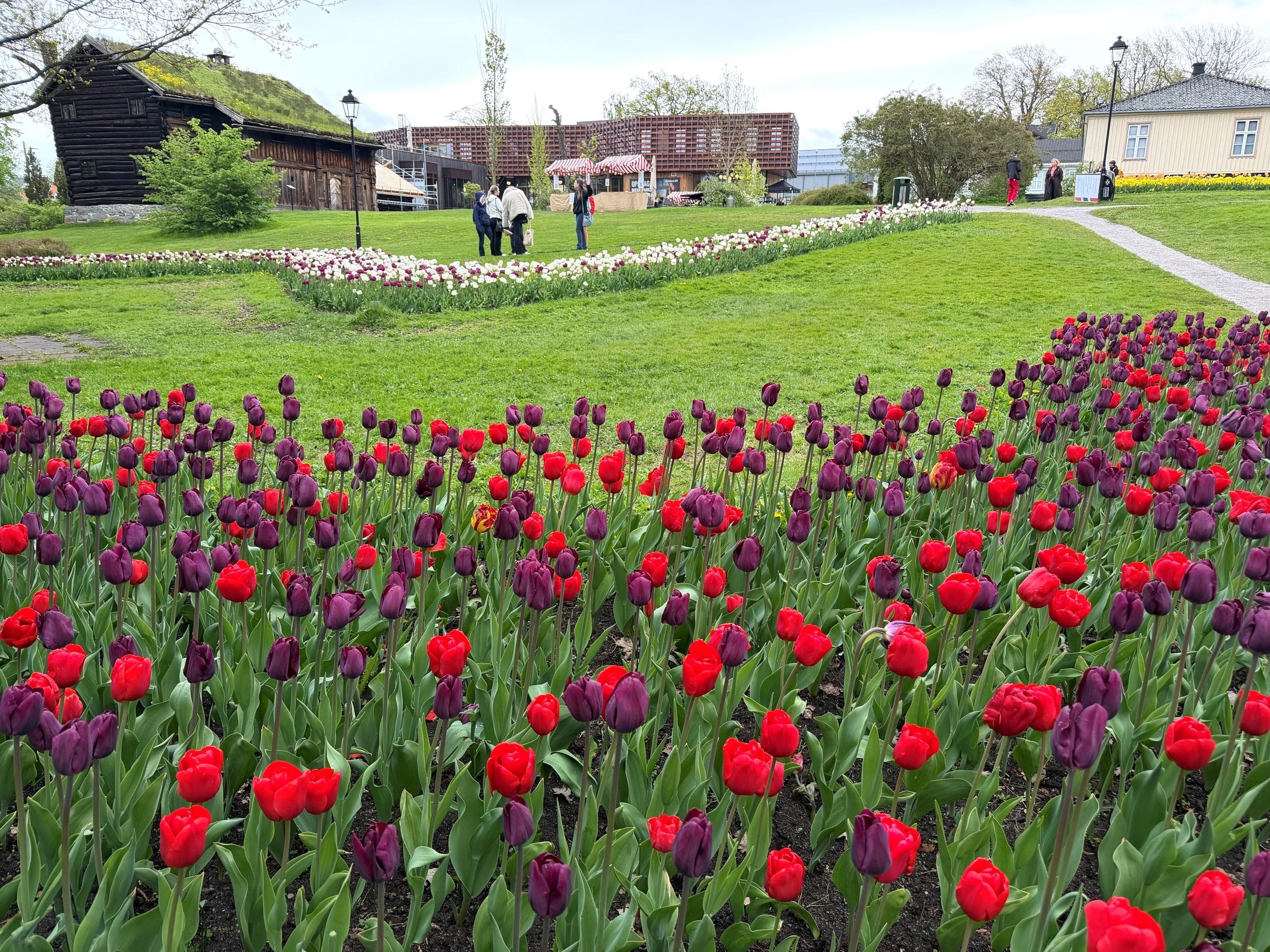 Hovedbilde