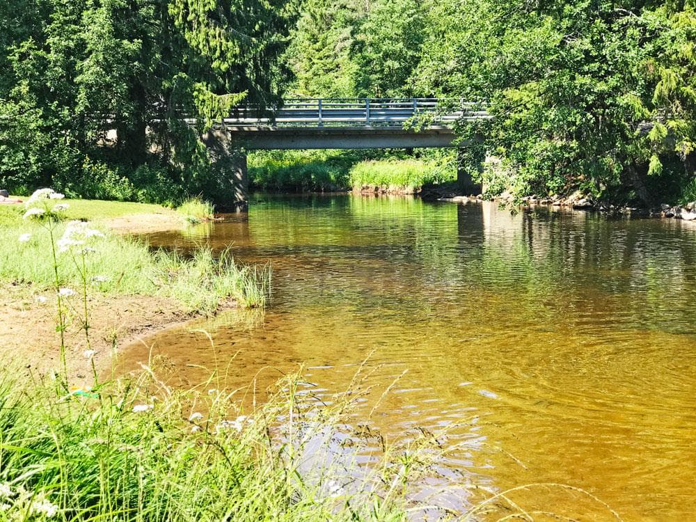 Hovedbilde