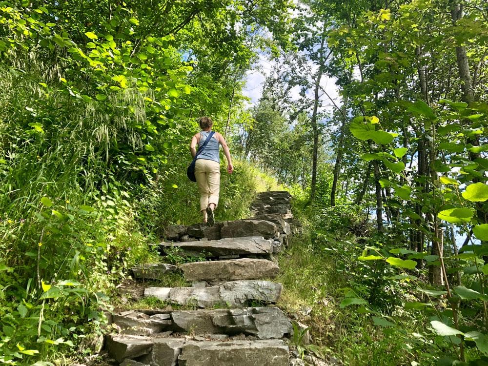 Hovedbilde