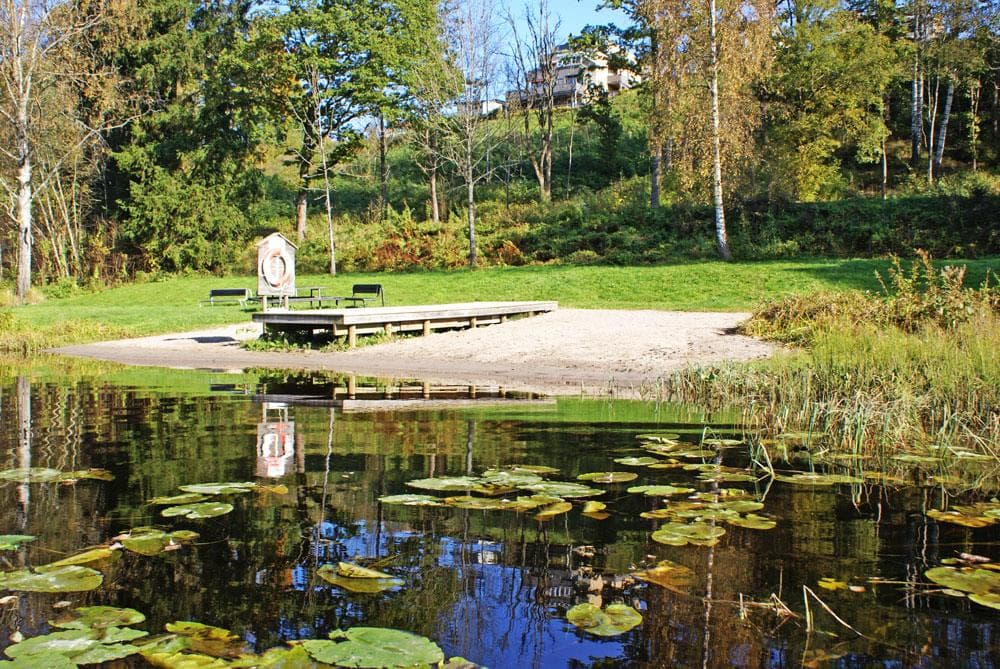 Hovedbilde
