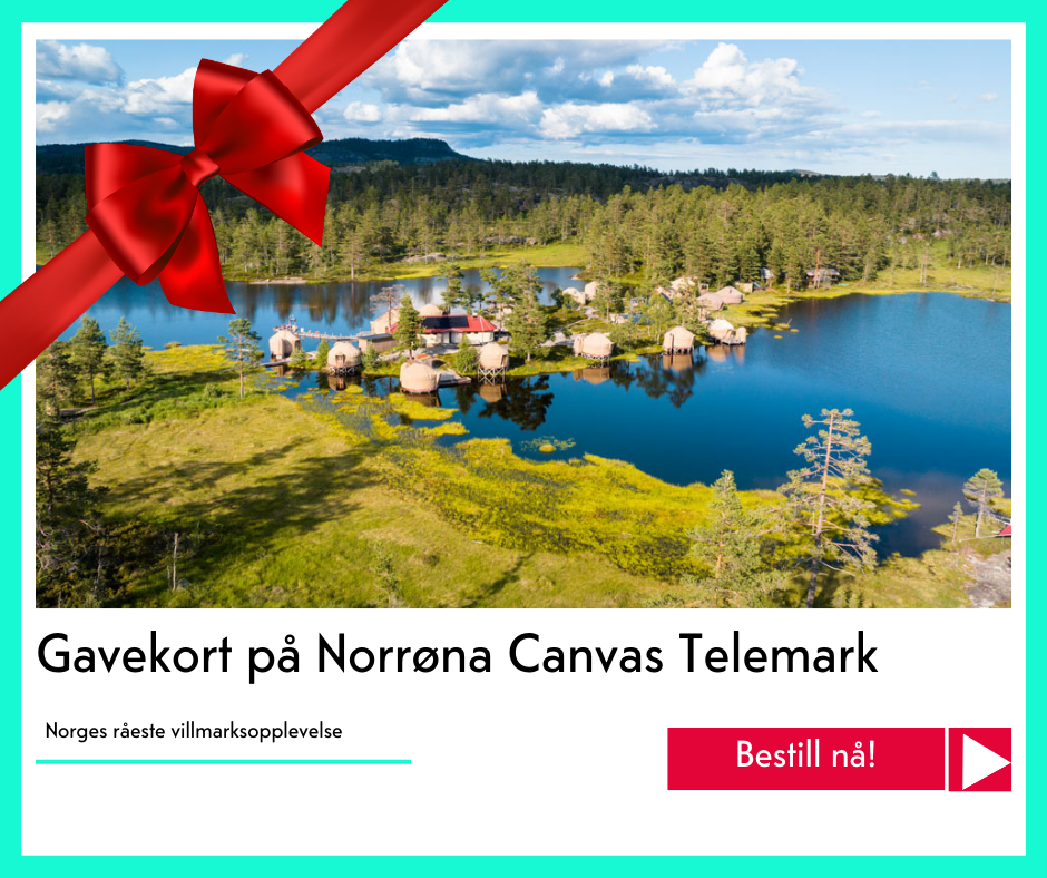 julegavekort på Canvas Telemark