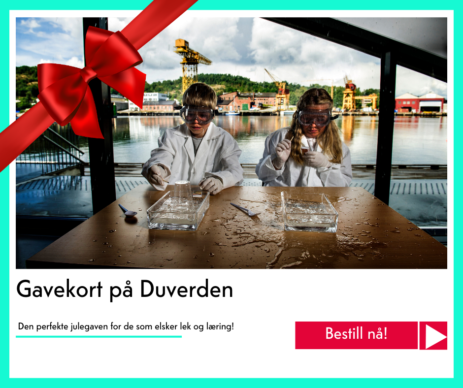 julegavekort på DuVerden