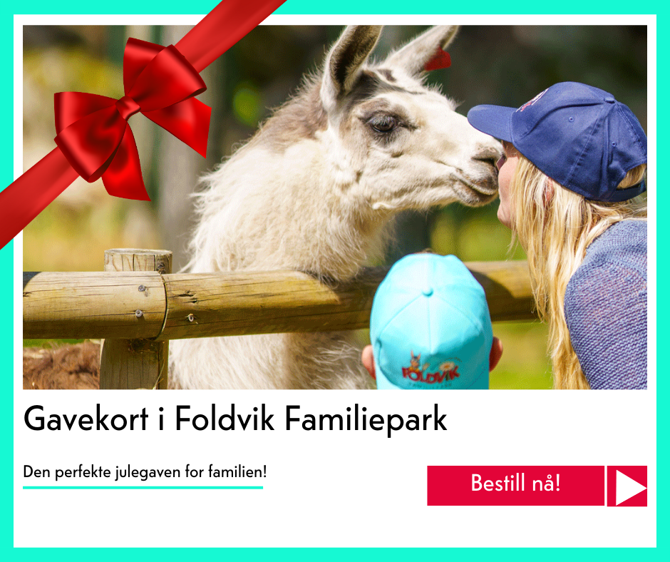 julegavekort på Foldvik familiepark