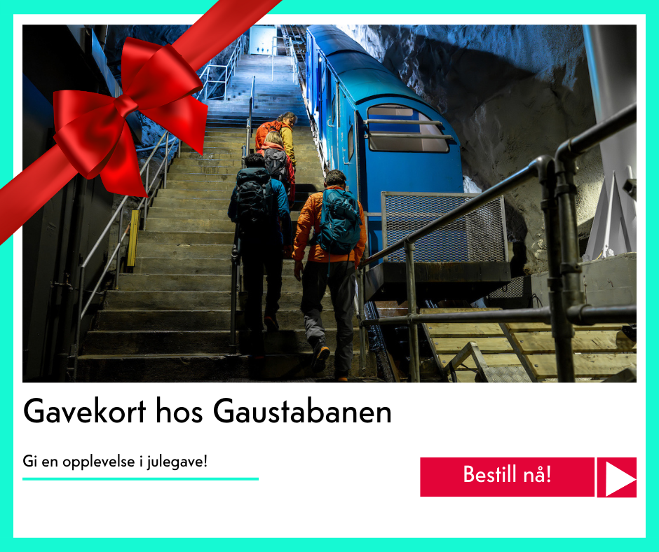 julegavekort på Gaustabanen