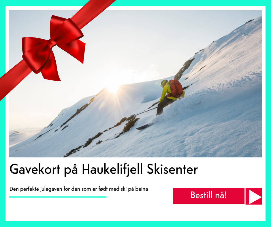 julegavekort på Haukelifjell skisenter