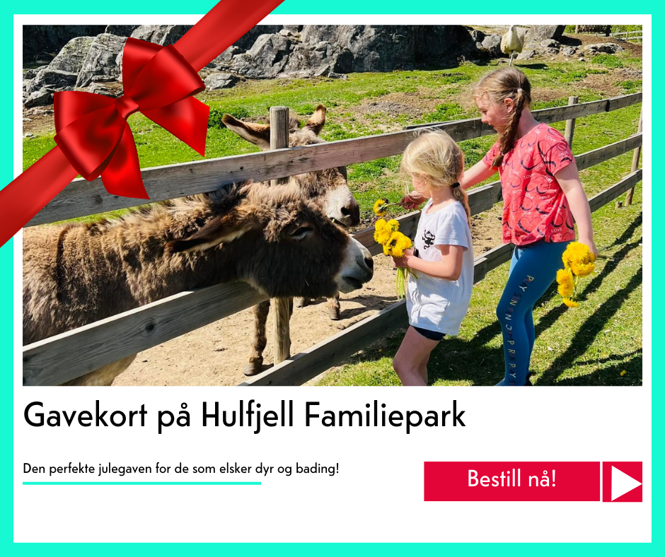 juegavekort på Hulfjell familiepark