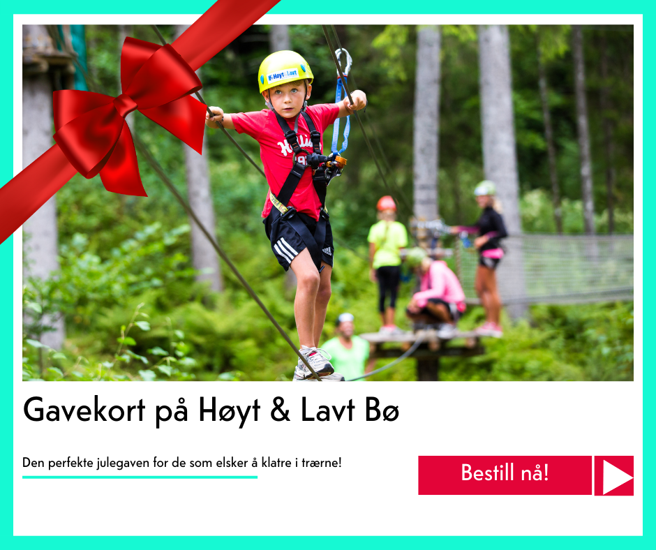 julegavekort på Høyt og lavt