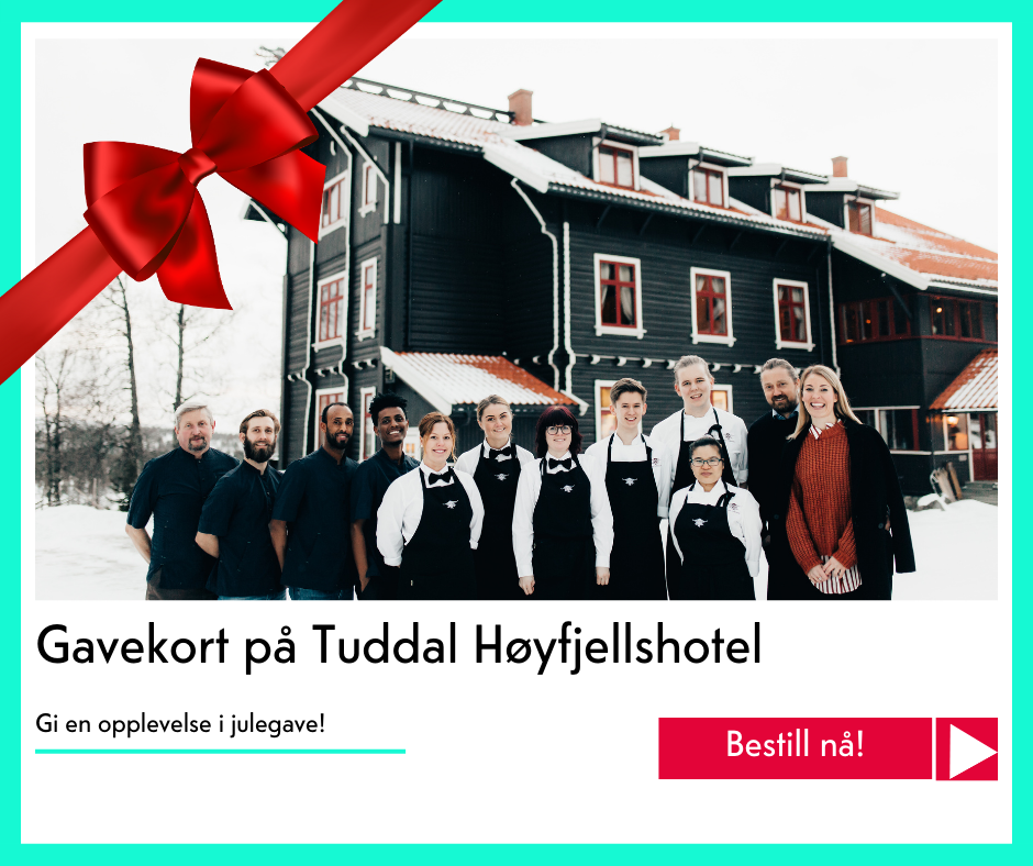 julegavekort på Tuddal Høyfjellshotell