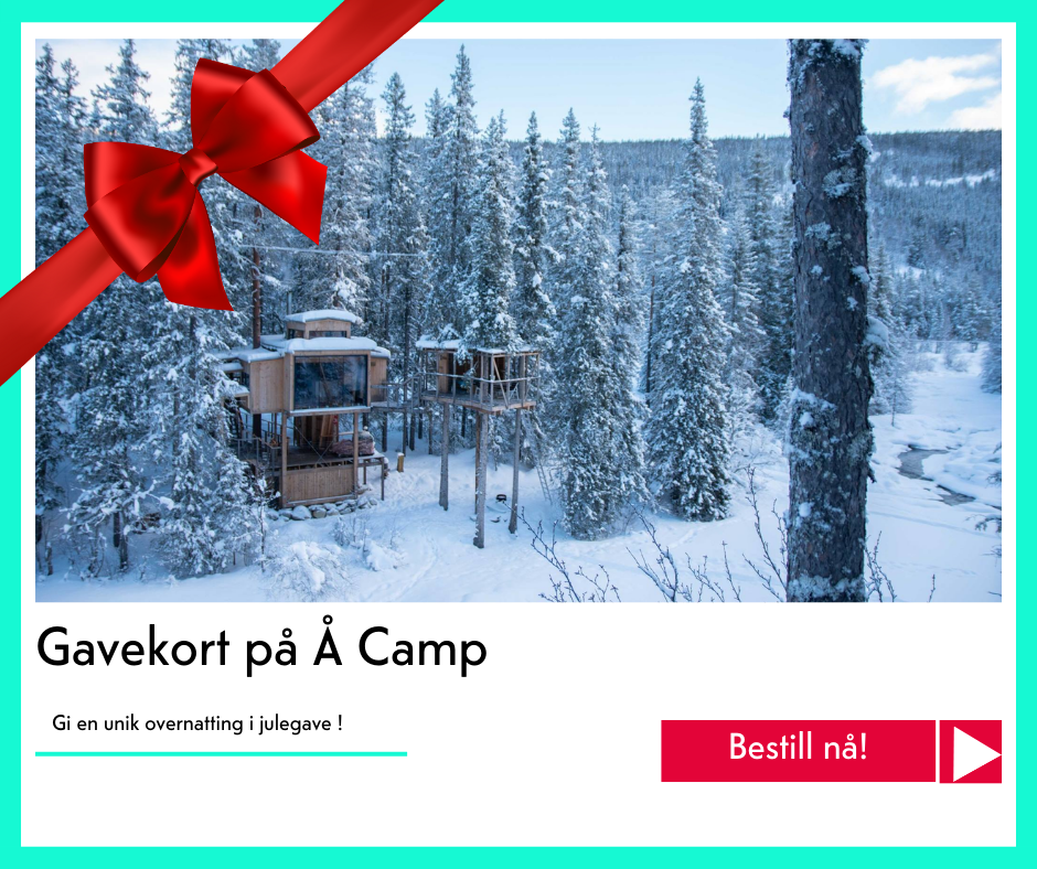 julegavekort på Å Camp