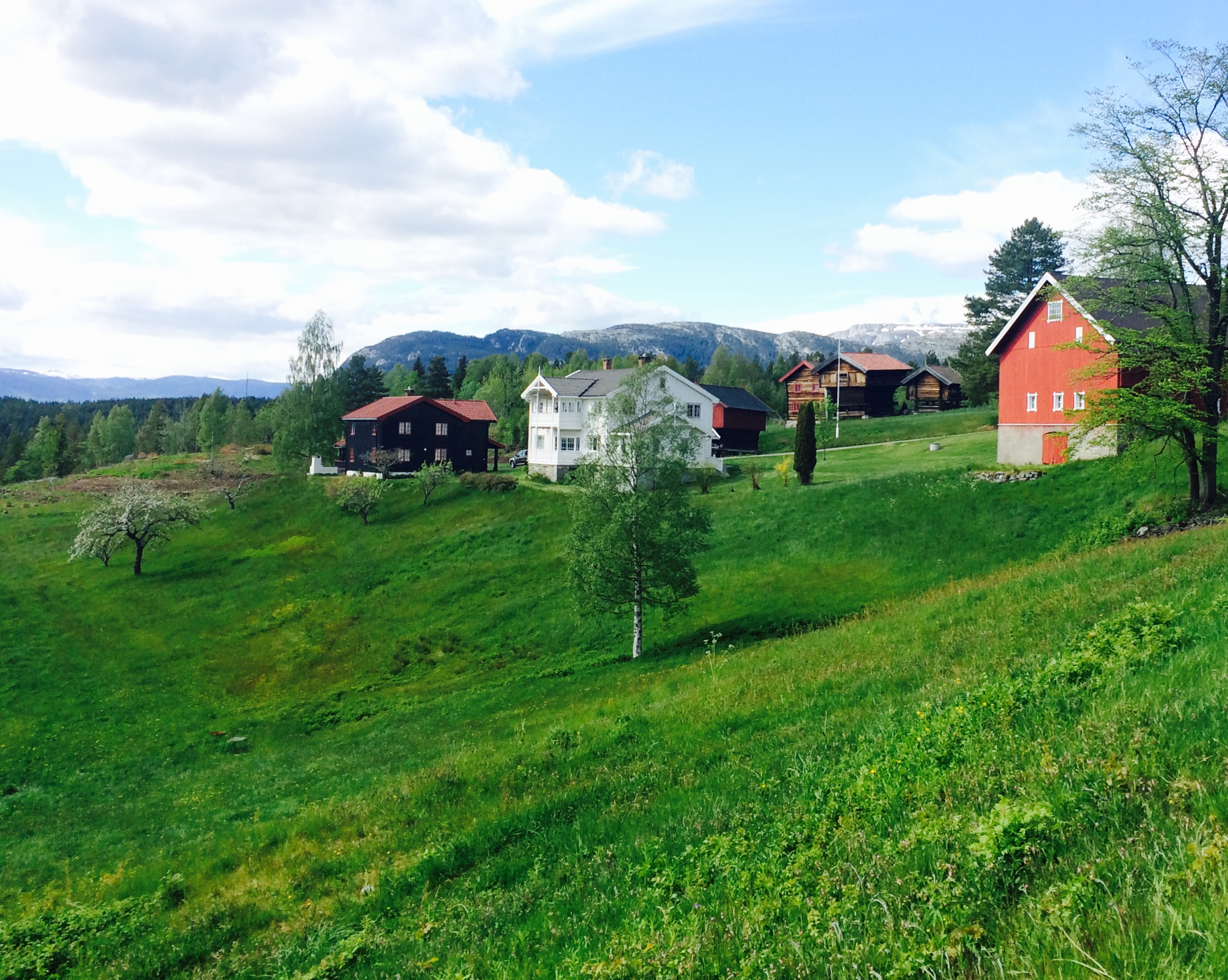 Bolkesjø Gaard - Gjestegård In Notodden, Notodden - Notodden