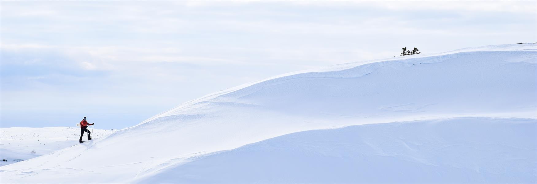 Skiløyper i Fyresdal