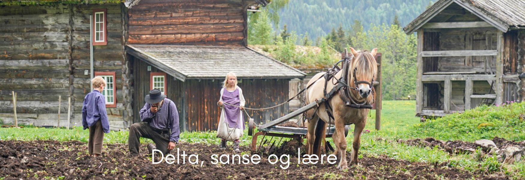 Smed i aksjon, smia ved Vest-Telemark museum.