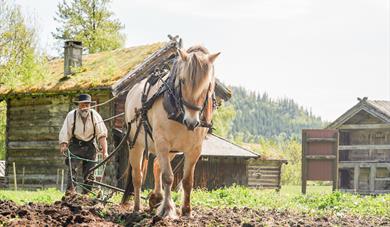 Våronn i Eidsborg med hest på åkeren