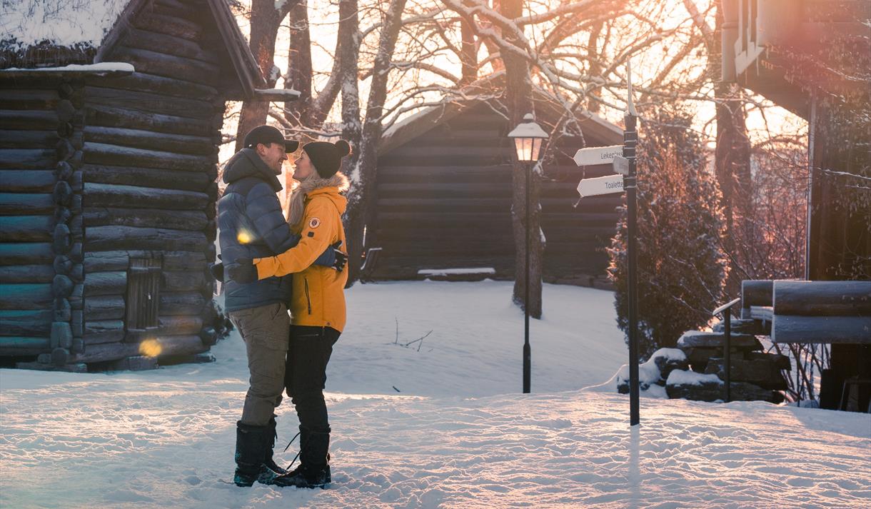 par på Brekkeparken i vinter