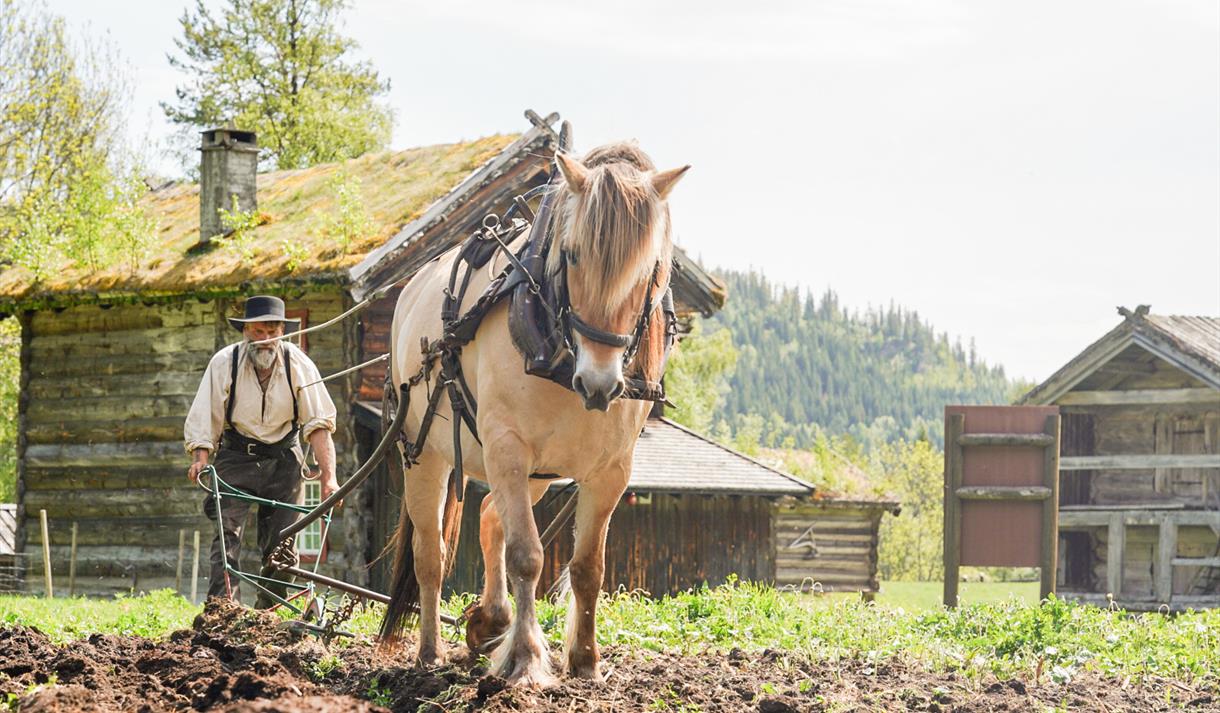 Våronn i Eidsborg med hest på åkeren