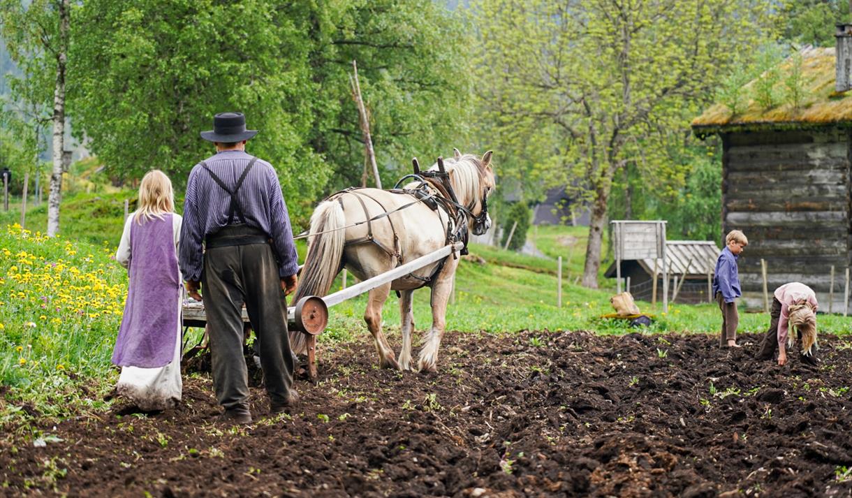 Museumsbøndane arbeidar på åkeren i Eidsborg