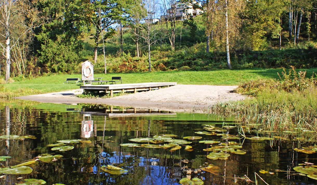 Falkumlia badeplass med sandstrand og brygge