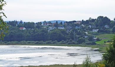 Børsesjø naturreservat