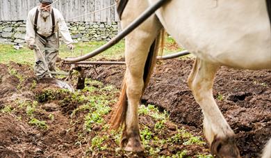 Våronn i Eidsborg, pløying med hest på åkeren. Våronn i Eidsborg, pløying med hest på åkeren.